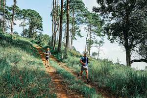 BIB: 
                            <button type="button" onclick="openModal(25675999)" class="btn btn-primary btn-sm float-right btn-popup" data-toggle="modal" data-target=".modal-high-quality">
                        <i class="fas fa-shopping-cart"></i> Add to Cart
                    </button>
                                            <button type="button" onclick="isThisMe(25675999, true)" class="btn btn-success btn-sm float-right btn-popup btn-isme hidden" data-toggle="tooltip" data-placement="bottom" title="นี่คือรูปของคุณใช่ไหม คลิกที่นี่เพื่อเอาเข้าอัลบั้ม">
                        <i class="fas fa-plus"></i> Add to album
                    </button>
                    <button type="button" onclick="isThisMe(25675999, false)" class="btn btn-warning btn-sm float-right btn-popup btn-isnotme hidden">
                        <i class="fas fa-ban"></i> Remove from album
                    </button>